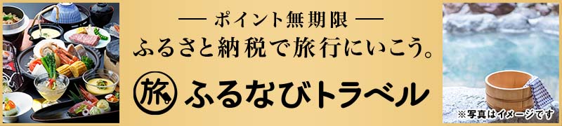 ポイント無制限 ふるさと納税で旅行にいこう。ふるなびトラベル
